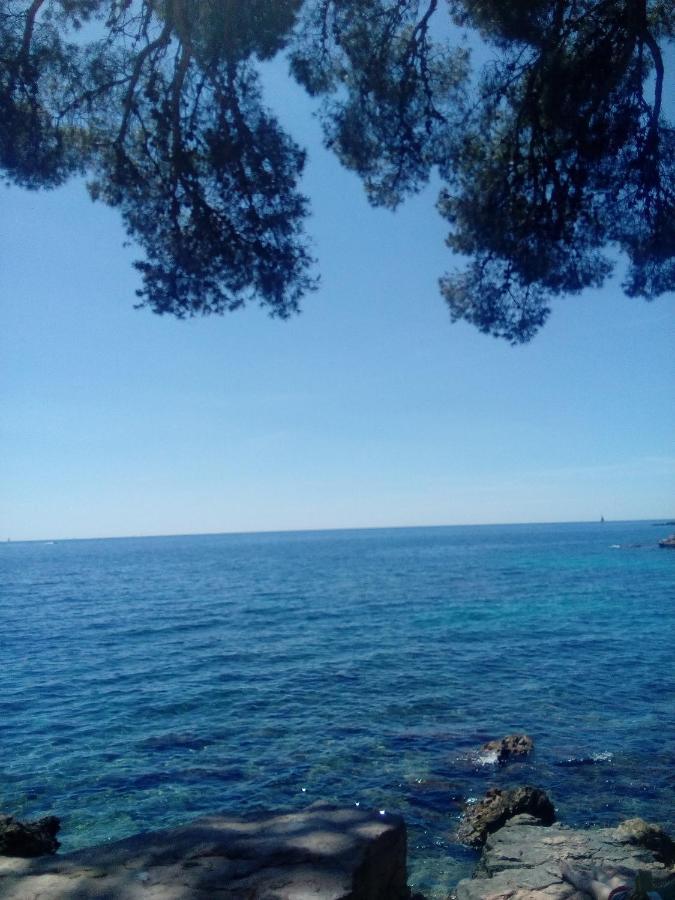 Ethan Apartman La Ciotat Kültér fotó